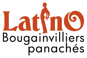 Latino les bougainvilliers panachés